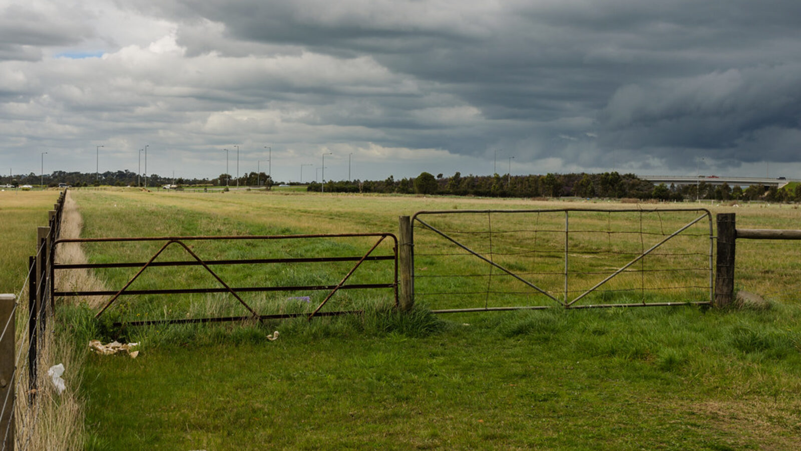 Steel farm gates across a grass paddock under a big Canterbury-style sky