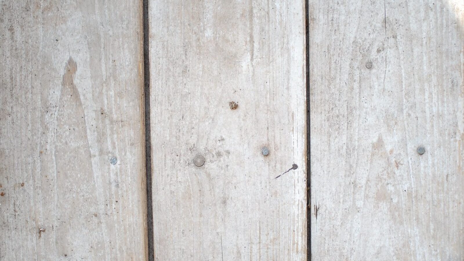 Weathered painted timber boards and nail heads — signs a fence needs repair or replacement