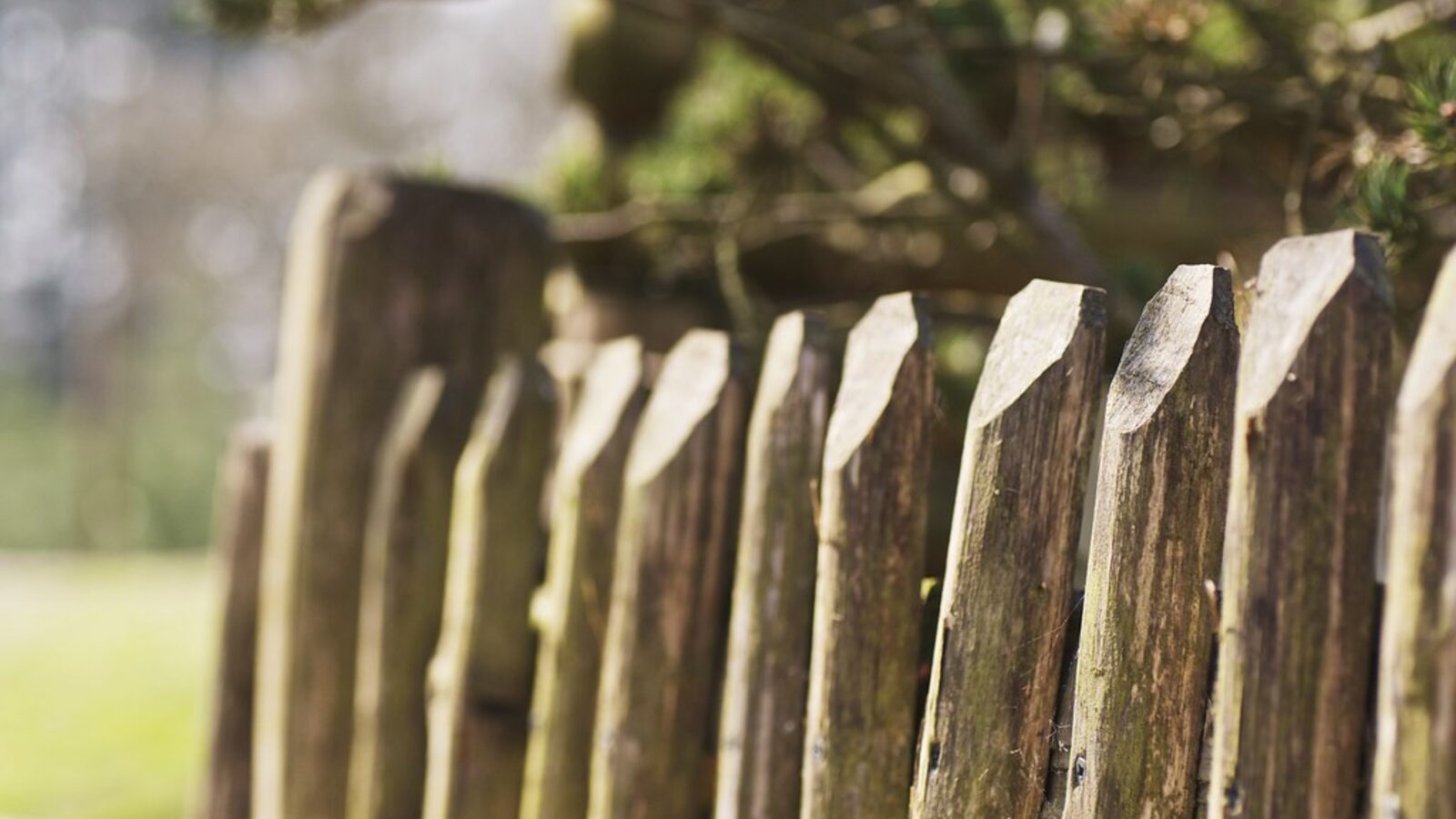 Sunlit rustic timber paling fence tops — Keith Wendelken Fencing, fence contractor in Halswell, Christchurch