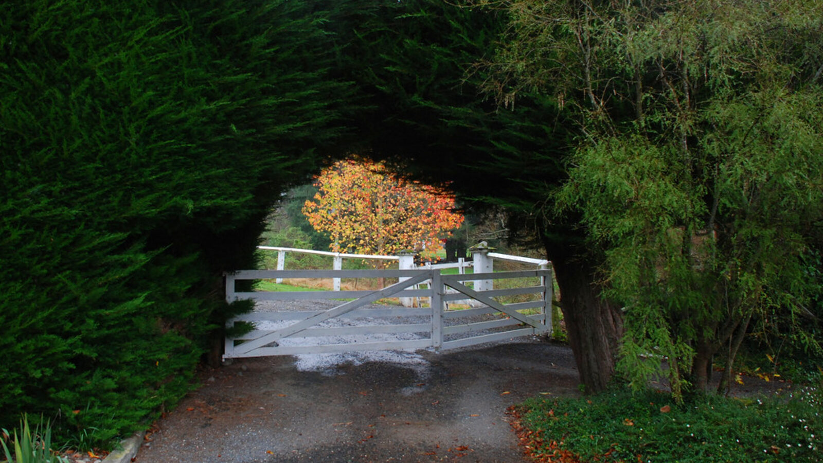 White-painted timber farm gate on a Canterbury rural property — Gates & Entrances, Keith Wendelken Fencing