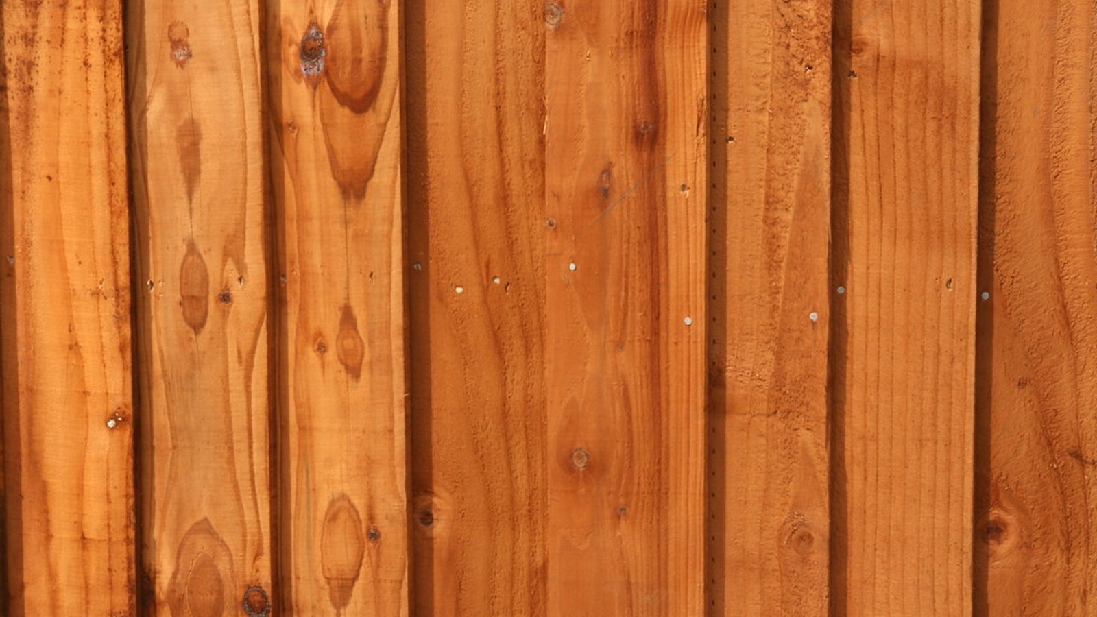 Close-up of newly built timber paling fence in warm stain, palings fixed to rails — Keith Wendelken Fencing, Christchurch
