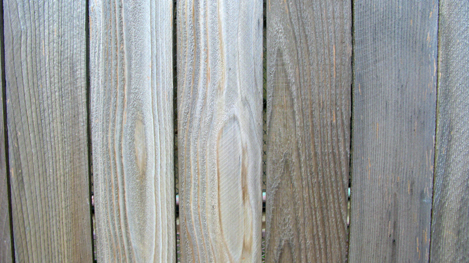 Weathered grey timber paling fence showing age and wear, the kind of fence needing repair or replacement in Christchurch