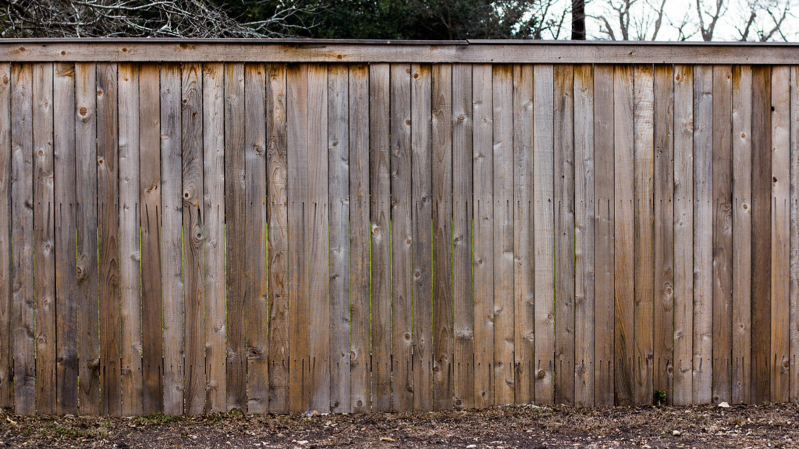 Timber paling fence with capping board in a suburban backyard — typical Christchurch boundary fence